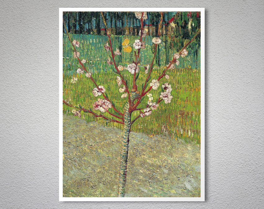 Flowering Almond Tree By Vincent Van Gogh Fine Art Print Arty Posters